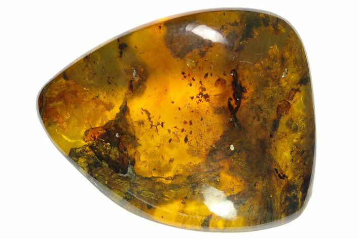 Polished Chiapas Amber ( g) - Mexico #114717